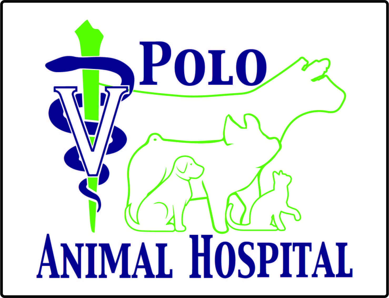 Polo Animal Hospital